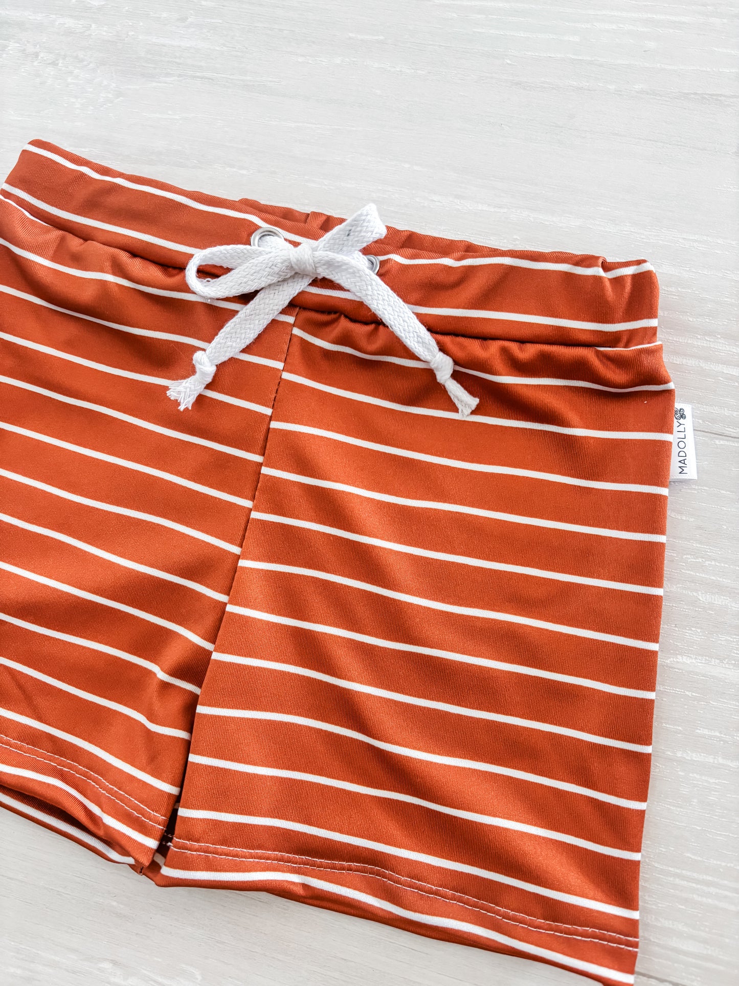 Rusty Burnt Orange Stripe Swim Trunks